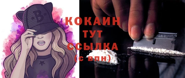 шишки Аркадак