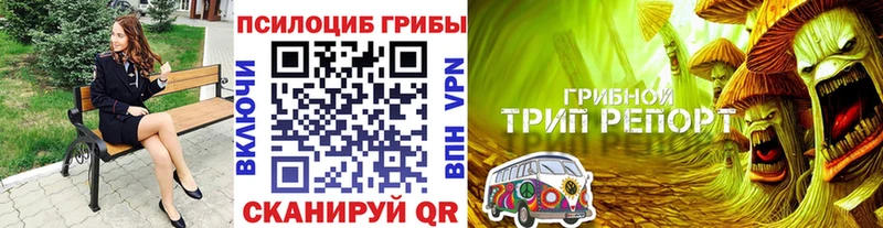 Купить где  Сосновка  Псилоцибиновые грибы ЛСД 